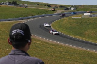 #34 Mercedes-AMG GT3 EVO of Michai Stephens and Mikael Grenier, JMF Motorsports, GT World Challenge America, Pro, SRO America, Sonoma Raceway, Sonoma, CA, Mar 27 - 29, 2026
 | Andrew Miterko Photography LLC &copy;2026