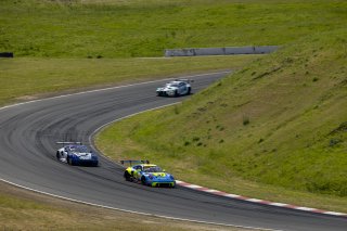 #242 Porsche 911 GT3-R (992) of Therese Lahlouh and Thomas Merrill, Wright Motorsports, GT World Challenge America, Pro-Am, SRO America, Sonoma Raceway, Sonoma, CA, Mar 27 - 29, 2026
 | Fabian Lagunas&copy;2026