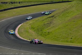 #13 Porsche 911 GT3-R (992) of Todd Parriott and Riley Dickinson, Kellymoss, GT World Challenge America, Pro-Am, SRO America, Sonoma Raceway, Sonoma, CA, Mar 27 - 29, 2026
 | Fabian Lagunas&copy;2026