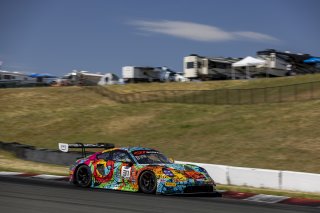 #31 Porsche 911 GT3-R (992) of Dave Musial Jr. and Ryan Yardley, Wright Motorsports, GT World Challenge America, Pro-Am, SRO America, Sonoma Raceway, Sonoma, CA, Mar 27 - 29, 2026
 | Fabian Lagunas&copy;2026