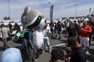 Fan Grid Walk, #99 BMW M4 GT3 EVO of Derek DeBoer and Hampus Ericsson, Random Vandals Racing, GT World Challenge America, Pro-Am, SRO America, Sonoma Raceway, Sonoma, CA, Mar 27 - 29, 2026
 | Fabian Lagunas&copy;2026