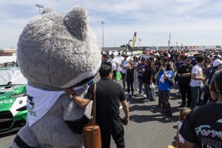 Fan Grid Walk, #99 BMW M4 GT3 EVO of Derek DeBoer and Hampus Ericsson, Random Vandals Racing, GT World Challenge America, Pro-Am, SRO America, Sonoma Raceway, Sonoma, CA, Mar 27 - 29, 2026
 | Fabian Lagunas&copy;2026