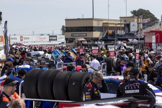 Grid Walk, GT World Challenge America, Pro, SRO America, Sonoma Raceway, Sonoma, CA, Mar 27 - 29, 2026
 | Fabian Lagunas&copy;2026