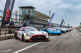 Grid, #34 Mercedes-AMG GT3 EVO of Michai Stephens and Mikael Grenier, JMF Motorsports, GT World Challenge America, Pro, SRO America, Circuit of The Americas, Austin, TX, Apr 24 - 26, 2026
 | Fabian Lagunas | www.lagunasphotography.com | 2026