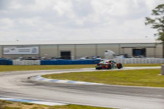 #31 Porsche 911 GT3-R (992) EVO of Dave Musial Jr. and Ryan Yardley, Wright Motorsports, GT World Challenge America, Pro-Am, SRO America, Sebring International Raceway, Sebring, FL, May 7 - 10, 2026
 | Andrew Miterko Photography LLC &copy;2026