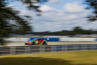 #31 Porsche 911 GT3-R (992) EVO of Dave Musial Jr. and Ryan Yardley, Wright Motorsports, GT World Challenge America, Pro-Am, SRO America, Sebring International Raceway, Sebring, FL, May 7 - 10, 2026
 | Andrew Miterko Photography LLC &copy;2026