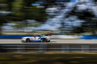 #6 Ford Mustang GT3 EVO of Cameron Lawrence and Alex Sedgwick, Dollahite Racing, GT World Challenge America, Pro, SRO America, Sebring International Raceway, Sebring, FL, May 7 - 10, 2026
 | Andrew Miterko Photography LLC &copy;2026