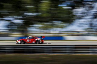 #8 Porsche 911 GT3-R (992) EVO of Michael McCann Jr. and Zachary Vanier, McCann Racing, GT World Challenge America, Pro, SRO America, Sebring International Raceway, Sebring, FL, May 7 - 10, 2026
 | Andrew Miterko Photography LLC &copy;2026