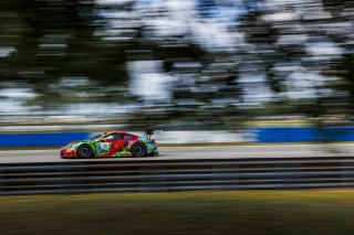 #31 Porsche 911 GT3-R (992) EVO of Dave Musial Jr. and Ryan Yardley, Wright Motorsports, GT World Challenge America, Pro-Am, SRO America, Sebring International Raceway, Sebring, FL, May 7 - 10, 2026
 | Andrew Miterko Photography LLC &copy;2026