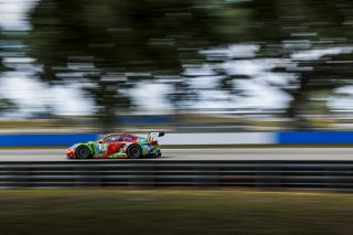 #31 Porsche 911 GT3-R (992) EVO of Dave Musial Jr. and Ryan Yardley, Wright Motorsports, GT World Challenge America, Pro-Am, SRO America, Sebring International Raceway, Sebring, FL, May 7 - 10, 2026
 | Andrew Miterko Photography LLC &copy;2026