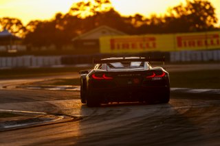 #50 Chevrolet Corvette Z06 GT3.R of Ross Chouest and Aaron Povoledo, Chouest Povoledo Racing, GT World Challenge America, Pro-Am, SRO America, Sebring International Raceway, Sebring, FL, May 7 - 10, 2026
 | Andrew Miterko Photography LLC &copy;2026