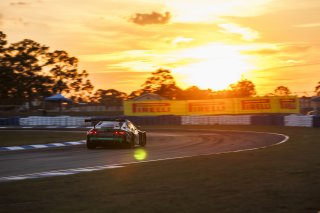 #99 BMW M4 GT3 EVO of Derek DeBoer and Hampus Eriksson, Random Vandals Racing, GT World Challenge America, Pro-Am, SRO America, Sebring International Raceway, Sebring, FL, May 7 - 10, 2026
 | Andrew Miterko Photography LLC &copy;2026