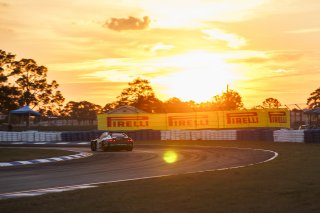 #99 BMW M4 GT3 EVO of Derek DeBoer and Hampus Eriksson, Random Vandals Racing, GT World Challenge America, Pro-Am, SRO America, Sebring International Raceway, Sebring, FL, May 7 - 10, 2026
 | Andrew Miterko Photography LLC &copy;2026