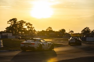 #6 Ford Mustang GT3 EVO of Cameron Lawrence and Alex Sedgwick, Dollahite Racing, GT World Challenge America, Pro, SRO America, Sebring International Raceway, Sebring, FL, May 7 - 10, 2026
 | Fabian Lagunas | www.lagunasphotography.com | 2026