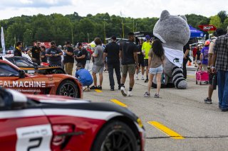 Grid Walk, GT World Challenge America, SRO America, Road Atlanta, Braselton, GA, June 12 - 14, 2026
 | Fabian Lagunas | www.lagunasphotography.com | 2026