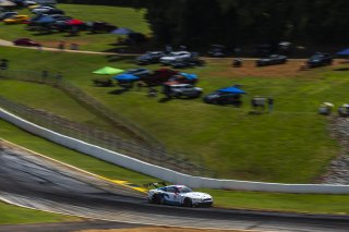 #6 Ford Mustang GT3 EVO of Cameron Lawrence and Alex Sedgwick, Dollahite Racing, GT World Challenge America, Pro, SRO America, Road Atlanta, Braselton, GA, June 12 - 14, 2026
 | Fabian Lagunas | www.lagunasphotography.com | 2026
