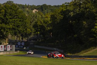 #8 Porsche 911 GT3-R (992) EVO of Michael McCann Jr. and Zachary Vanier, McCann Racing, GT World Challenge America, Pro, SRO America, Road America, Elkhart Lake, WI, Aug 27 - 30, 2026
 | Fabian Lagunas | www.lagunasphotography.com | 2026