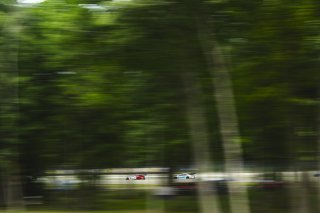 #29 BMW M4 GT3 EVO of Justin Rothberg and Robby Foley, Turner Motorsport, GT World Challenge America, Pro, SRO America, Road America, Elkhart Lake, WI, Aug 27 - 30, 2026
 | Fred Hardy | Echo & Origin | www.echoandorigin.studio &copy;2026