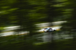 #6 Ford Mustang GT3 EVO of Cameron Lawrence and Alex Sedgwick, Dollahite Racing, GT World Challenge America, Pro, SRO America, Road America, Elkhart Lake, WI, Aug 27 - 30, 2026
 | Fred Hardy | Echo & Origin | www.echoandorigin.studio &copy;2026