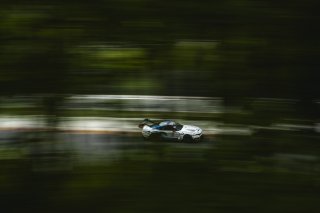 #6 Ford Mustang GT3 EVO of Cameron Lawrence and Alex Sedgwick, Dollahite Racing, GT World Challenge America, Pro, SRO America, Road America, Elkhart Lake, WI, Aug 27 - 30, 2026
 | Fred Hardy | Echo & Origin | www.echoandorigin.studio &copy;2026
