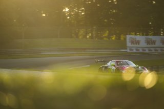 #13 Porsche 911 GT3-R (992) EVO of Todd Parriott and Riley Dickinson, Kellymoss, GT World Challenge America, Pro-Am, SRO America, Barber Motorsport Park, Leeds, AL, Sept 24 - 27, 2026
 | Fred Hardy | Echo & Origin | www.echoandorigin.studio &copy;2026