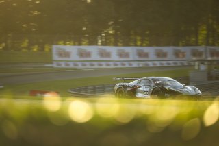 #50 Chevrolet Corvette Z06 GT3.R of Ross Chouest and Aaron Povoledo, Chouest Povoledo Racing, GT World Challenge America, Pro-Am, SRO America, Barber Motorsport Park, Leeds, AL, Sept 24 - 27, 2026
 | Fred Hardy | Echo & Origin | www.echoandorigin.studio &copy;2026