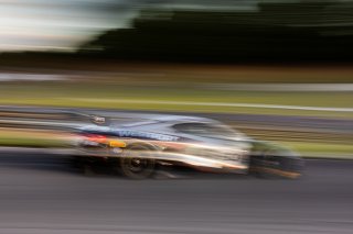 #50 Chevrolet Corvette Z06 GT3.R of Ross Chouest and Aaron Povoledo, Chouest Povoledo Racing, GT World Challenge America, Pro-Am, SRO America, Barber Motorsport Park, Leeds, AL, Sept 24 - 27, 2026
 | Fabian Lagunas | www.lagunasphotography.com | 2026