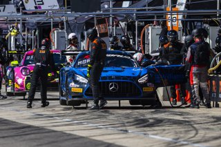 #9 Mercedes-AMG GT3 EVO of Brayton Williams and Daniel Morad, TR3 Racing, GT World Challenge America, Pro-Am, SRO America, Barber Motorsport Park, Leeds, AL, Sept 24 - 27, 2026
 | Fabian Lagunas | www.lagunasphotography.com | 2026