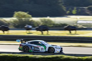 #99 BMW M4 GT3 EVO of Derek DeBoer and Hampus Eriksson, Random Vandals Racing, GT World Challenge America, Pro-Am, SRO America, Barber Motorsport Park, Leeds, AL, Sept 24 - 27, 2026
 | Fabian Lagunas | www.lagunasphotography.com | 2026