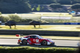 #8 Porsche 911 GT3-R (992) EVO of Michael McCann Jr. and Zachary Vanier, McCann Racing, GT World Challenge America, Pro, SRO America, Barber Motorsport Park, Leeds, AL, Sept 24 - 27, 2026
 | Fabian Lagunas | www.lagunasphotography.com | 2026