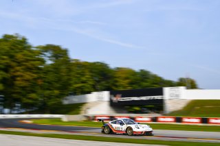 #91 Porsche 911 GT3 R (991) of Anthony Imperato and Matt Campbell with Wright Motorsports

Road America World Challenge America , Elkhart Lake WI | Gavin Baker/SRO
