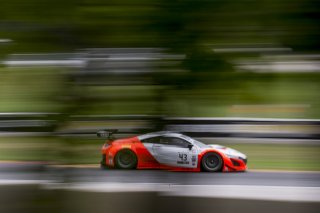 #43 Acura NSX, Mike Hedlund, Dane Cameron, RealTime Racing, SRO GT World Challenge America, Road America, September 2019.
 | Brian Cleary/SRO