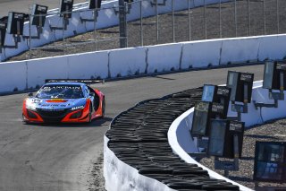 #43 Acura NSX of Mike Hedlund and Dane Cameron with RealTime Racing

2019 Blancpain GT World Challenge America - Las Vegas, Las Vegas NV | Gavin Baker/SRO
