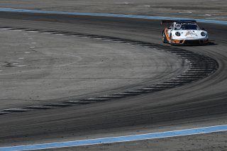 #91 Porsche 911 GT3 R (991) of Anthony Imperato and Matt Campbell with Wright Motorsports

2019 Blancpain GT World Challenge America - Las Vegas, Las Vegas NV | Gavin Baker/SRO
