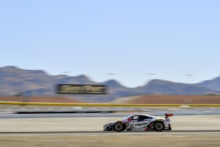 #80 Acura NSX of Martin Barkey and Kyle Marcelli with Racers Edge Motorsports

2019 Blancpain GT World Challenge America - Las Vegas, Las Vegas NV | Gavin Baker/SRO
