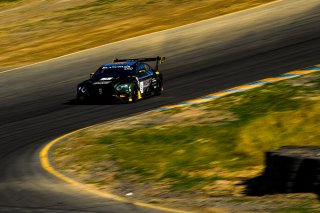 #9 Bentley Continental GT3 of Alvaro Parente and Andy Soucek 

SRO at Sonoma Raceway, Sonoma CA | Gavin Baker/SRO
