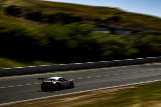 #58 Porsche 911 GT3 R (991) of Patrick Long and Scott Hargrove 

SRO at Sonoma Raceway, Sonoma CA | Gavin Baker/SRO
