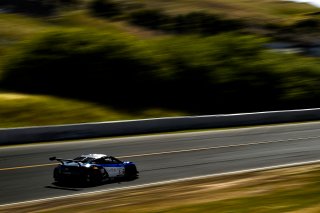 #5 Acura NSX of Till Bechtolsheimer and Marc Miller 

SRO at Sonoma Raceway, Sonoma CA | Gavin Baker/SRO
