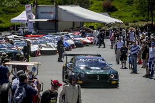 #3, K-PAX Racing, Bentley Continental GT3, Rodrigo Baptista and Maxime Soulet, SRO at Sonoma Raceway, Sonoma CA
 | Brian Cleary/SRO

