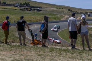 fans

SRO at Sonoma Raceway, Sonoma CA                  | Brian Cleary/SRO
