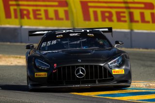 #63 Mercedes-AMG GT3 of David Askew and Ryan Dalziel, DXDT Racing, GT3 Pro-Am,     
2020 SRO Motorsports Group - Sonoma Raceway, Sonoma CA | Fabian Lagunas/SRO