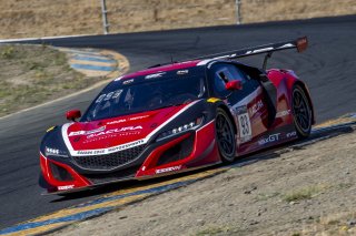#93 Acura NSX GT3 of Shelby Blackstock and Trent Hindman, Racers Edge Motorsports, GT3 Pro-Am, 2020 SRO Motorsports Group - Sonoma Raceway, Sonoma CA
 | Brian Cleary/SRO  