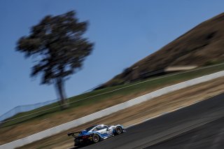 #20 Porsche 911 GT3 R of Fred Poordad and Max Root, Wright Motorsports, GT3 Am, 2020 SRO Motorsports Group - Sonoma Raceway, Sonoma CA
 | Brian Cleary/SRO  