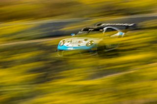 #20 Porsche 911 GT3 R of Fred Poordad and Max Root, Wright Motorsports, GT3 Am, SRO America, Sonoma Raceway, Sonoma CA, Aug 2020.
 | Regis Lefebure/SRO                                       