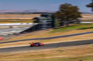#93 Acura NSX GT3 of Shelby Blackstock and Trent Hindman, Racers Edge Motorsports, GT3 Pro-Am, 2020 SRO Motorsports Group - Sonoma Raceway, Sonoma CA
 | Brian Cleary      