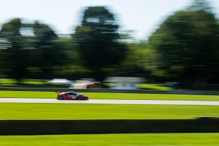 #93 Acura NSX GT3 of Shelby Blackstock and Trent Hindman,  Racers Edge Motorsports, GT3 Pro-Am, SRO America, Road America,  Elkhart Lake,  WI, July 2020. | Fabian Lagunas/SRO