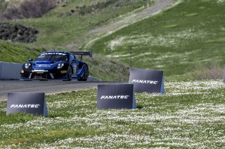 #20 Porsche 911 GT3-R of Fred Poordad and Jan Heylen, Wright Motorsports, Pro-Am, SRO America Sonoma Raceway, Sonoma, CA, March 2021.   | Brian Cleary/BCPix.com