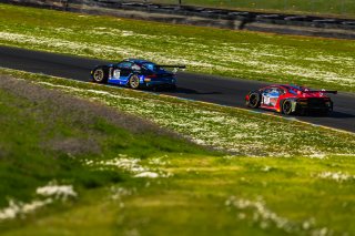 #20 Porsche 911 GT3-R of Fred Poordad and Jan Heylen, Wright Motorsports, Pro-Am, SRO America Sonoma Raceway, Sonoma, CA, March 2021.   | Fabian Lagunas 2021
