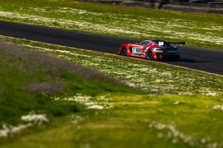 #04 Mercedes-AMG GT3 of George Kurtz and Colin Braun, DXDT Racing, Pro-Am, SRO America Sonoma Raceway, Sonoma, CA, March 2021.   | Fabian Lagunas 2021