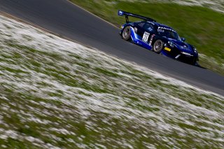 #20 Porsche 911 GT3-R of Fred Poordad and Jan Heylen, Wright Motorsports, Pro-Am, SRO America Sonoma Raceway, Sonoma, CA, March 2021.   | Brian Cleary/BCPix.com